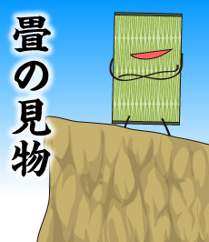 505