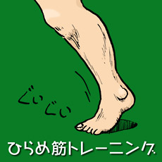 1491