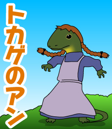 555