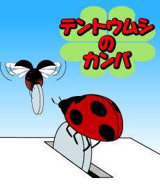 557